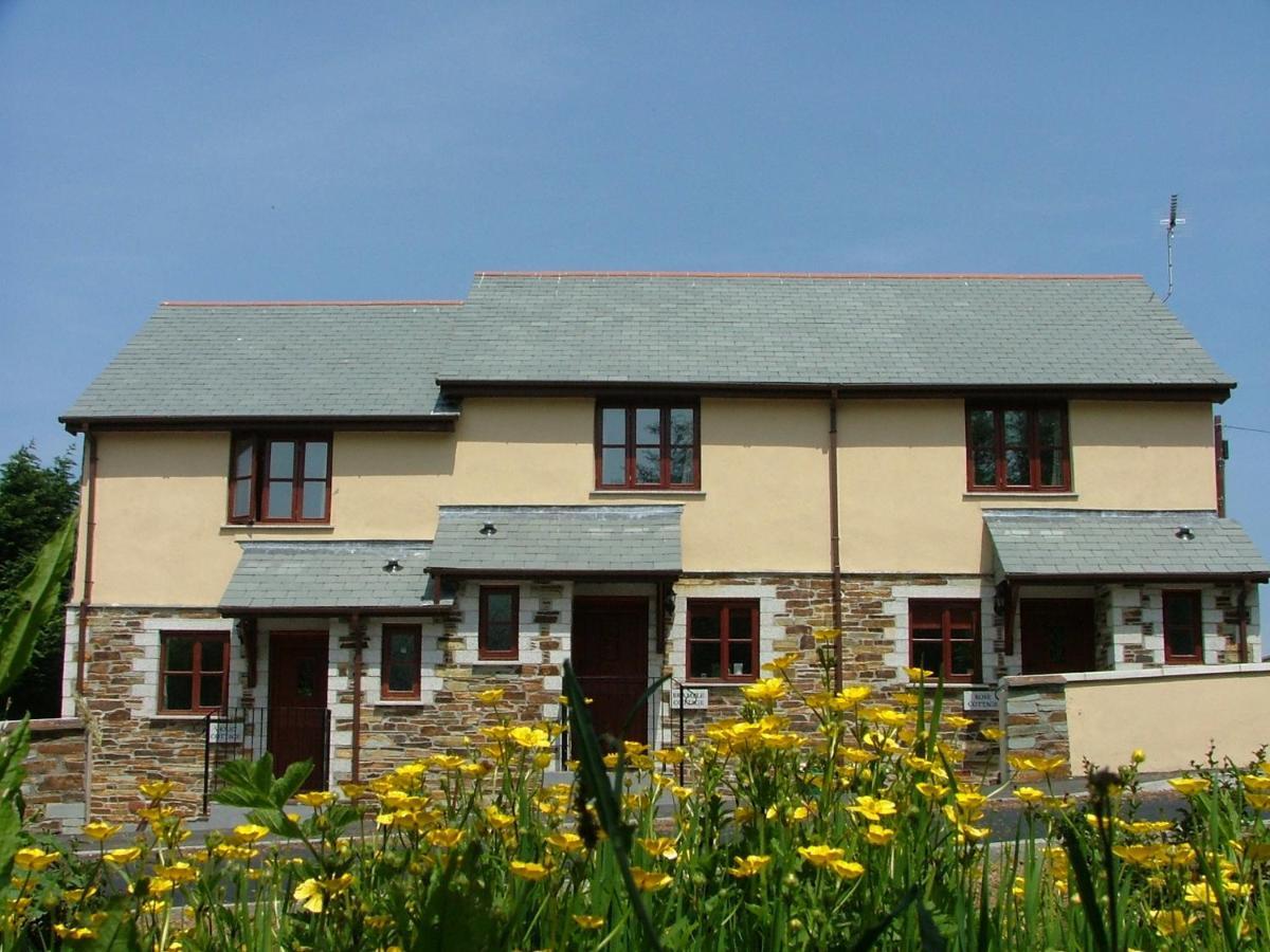 Rose Cottage คาเมลฟอร์ด ภายนอก รูปภาพ